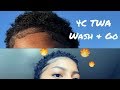 TWA Wash &amp; Go I Edges 101