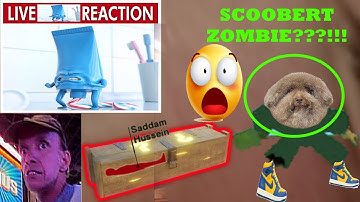 Your Average Project Lazarus: Zombies Gameplay (Roblox)