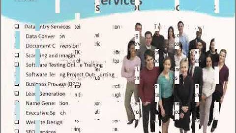 TechsysConsultant.wmv