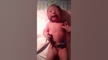 Kelahiran anak kedua