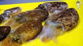 Korean Street Food Squid Cuttlefish Sashimi Korea Seafood Market 포항 송도 활어회센터 갑오징어 오징어 301121