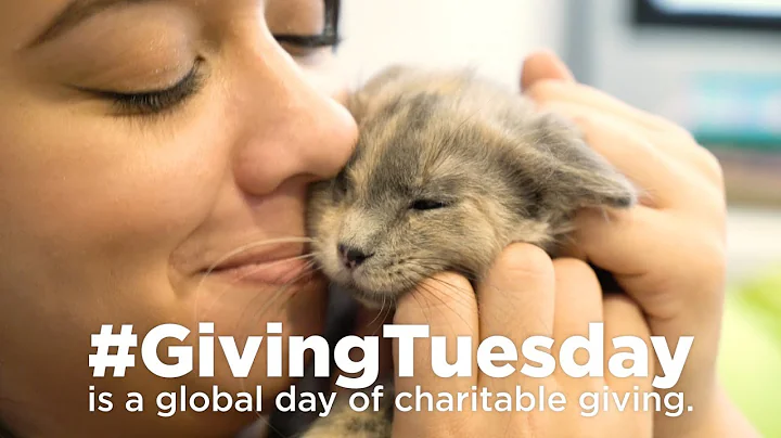 Join us this #GivingTuesday!