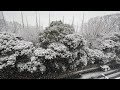 東京が大雪　神宮外苑の積雪ライブ