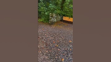 خشوع يملأ القلب مع تلاوة خاشعة لسورة هود للقارئ@islam_sobhi #قرآن #اكسبلور #foryou #peace ##natur