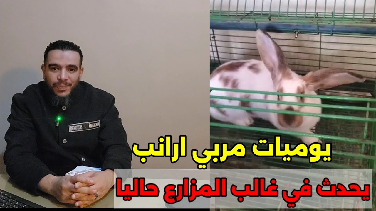 يوميات مربي ارانب والخبرة هتعلمك تتفاهم مع الارانب
