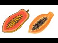 How to draw a papaya 畫木瓜