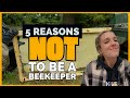 Watch this before you start beekeeping  beekeeping 101 beekeeping