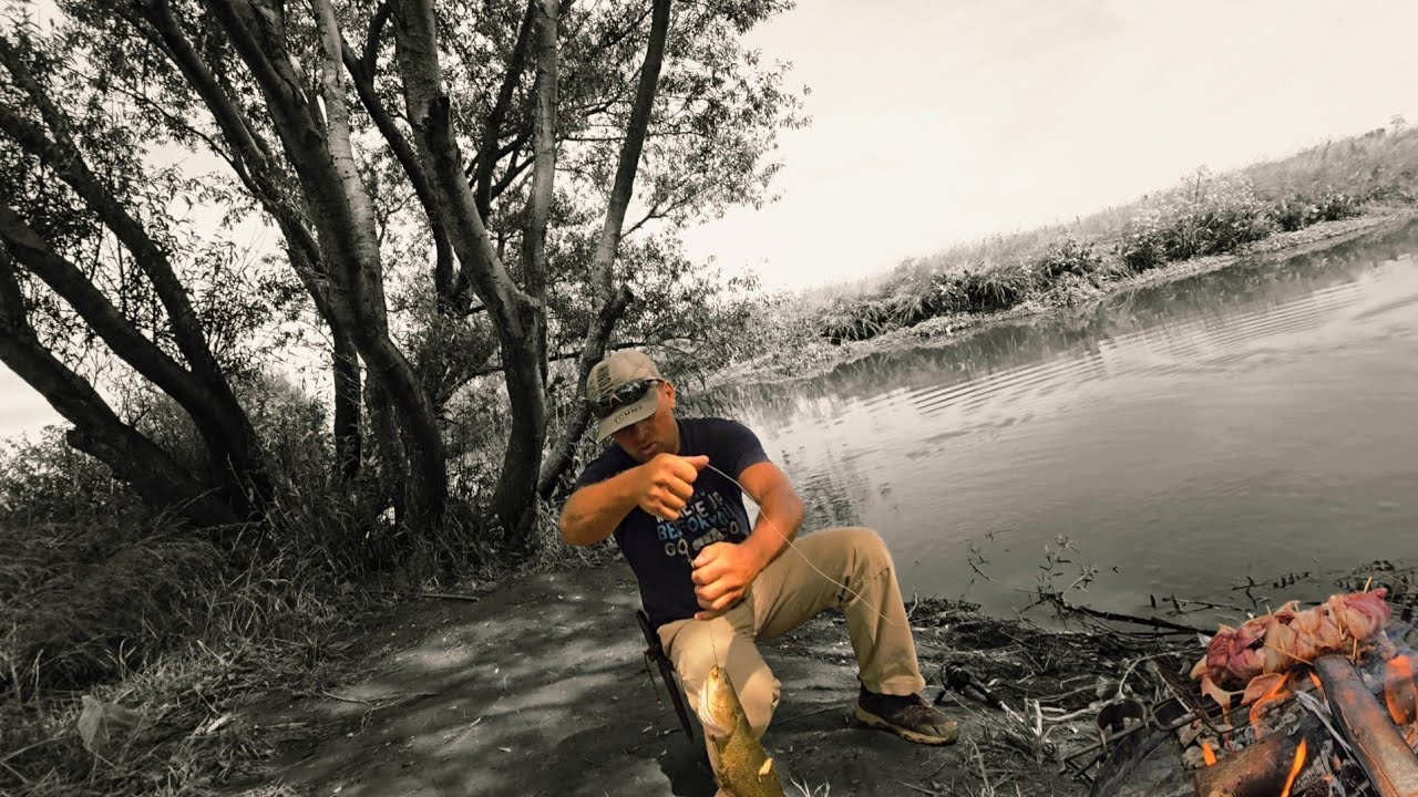 En busca de las TARUCHAS.  Pesca y cocina (Solomillo relleno y más) 