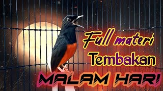 Download Lagu MASTERAN MURAI BATU GACOR MALAM HARI, NAIKAN EMOSI MURAI BATU LAIN JADI CEPAT GACOR PART. 295 MP3