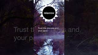 relaxnow | Autumn Rain Pond Ambience with Flute | Calming Forest Meditation Music Motivation