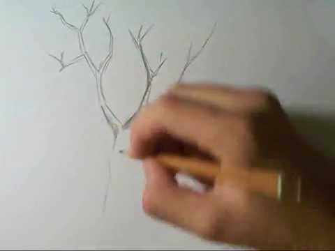 Jak Narysować Drzewo How To Draw A Tree