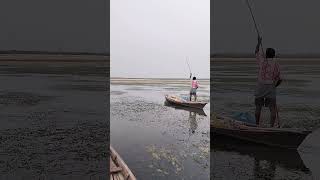 #viralvideo #farmerstruggle #trending #farming #youtubeshorts #bengalivlog #agriculture