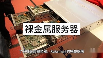 了解裸金属服务器：Raksmart 的完整指南
