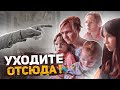 Почему родной отец выгоняет семью из дома ? Добрый поступок обернулся против них