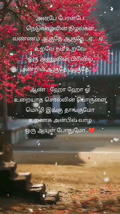 Anbe Peranbe song lyrics #tamil #music #song #tamilsong #tamillovesonglyrics #love