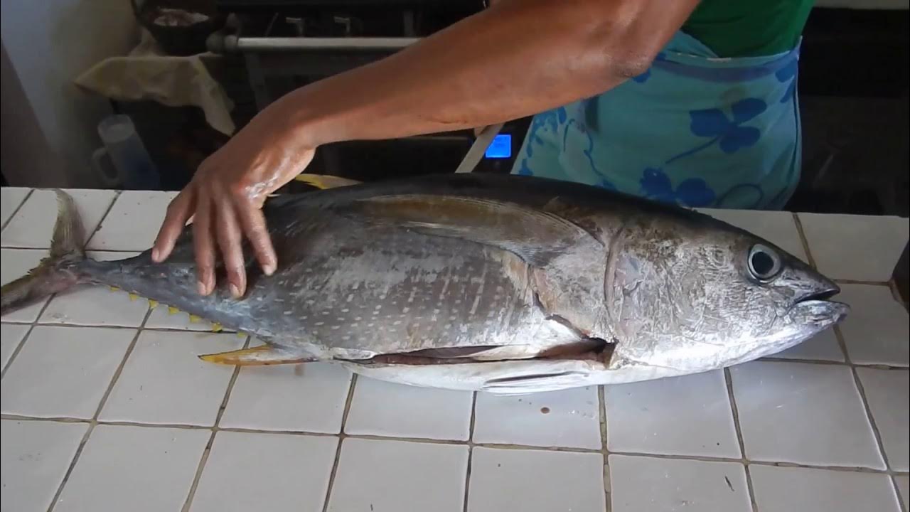 How to fillet a tuna atun pescado YouTube