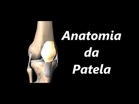 Anatomia da Patela em 3D