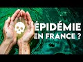 L’épidémie qui débarque en France et inquiète à Mayotte