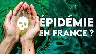 L’épidémie qui débarque en France et inquiète à Mayotte