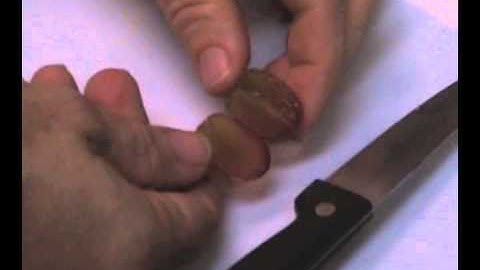 Homeschool Science Experiment: Supercharged Science Plasma Grape Homeschool Experiment