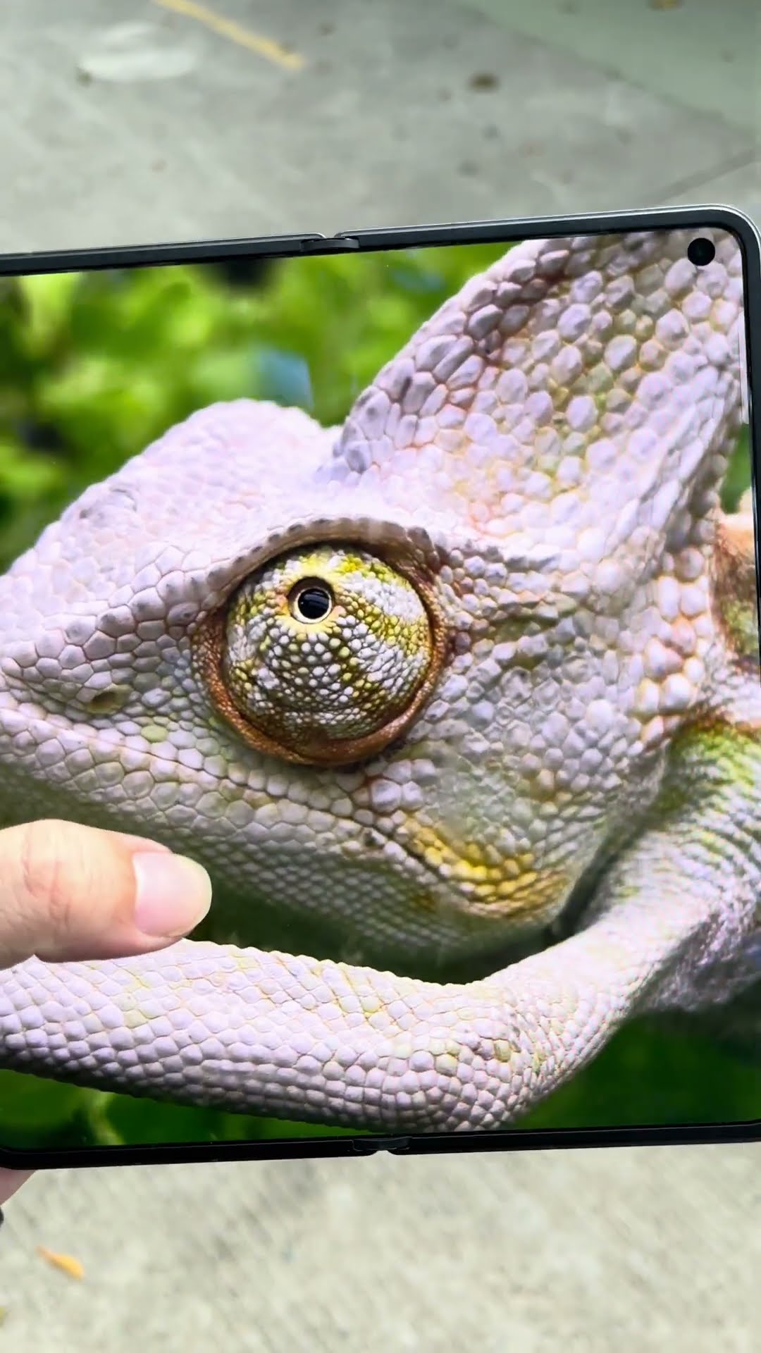 OPPO Find N5's image quality is not good, but can Huawei, vivo, and Samsung really beat it?