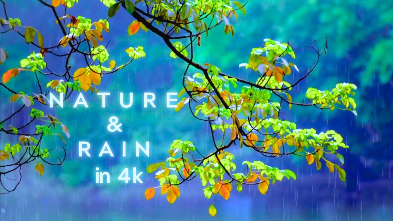 Peaceful Rain Sounds Relaxing 🌿🌌🌺Your Oasis of Healing PART 2 #nature #relaxingmusic #asmr #rain