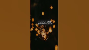 #قران_كريم #قرآن #تلاوات #تلاوة #تلاوة_خاشعة #سورة #فارس_عباد