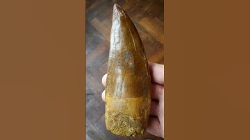 Rare Historical Photos That Will Blow Your Mind!