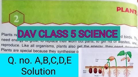 DAV Class 5 Science Chapter 2 Plants All Question Answer Solution/ADARSH 999