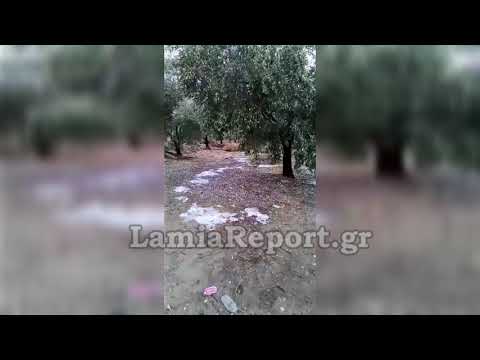 LamiaReport.gr: Οι πρώτες ώρες της καταστροφής στις Λιβανάτες