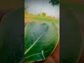 beauty of village #viral #shorts #foryou #village #villagelife #villagevlog #villagelifestyle