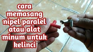 Cara Memasang Niple Kelinci Atau Alat minum kelinci Paralel