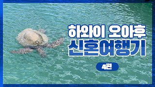 하와이 오아후 신혼여행 4편 - 돌고래 & 거북이를 만났어요