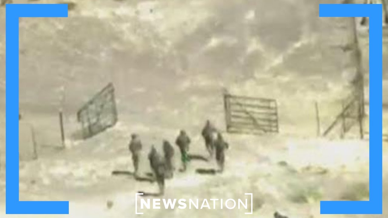 Смотрите: Мигранты в камуфляже пересекают границу | NewsNation Prime