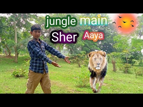 jungle main shei Aaya @op ☮🦁🐯 - YouTube