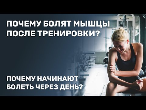 Почему болят мышцы после тренировки? Почему начинают болеть через день?