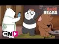 Уборка| Вся правда о медведях | Cartoon Network