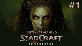: StarCraft Remastered!  !  1