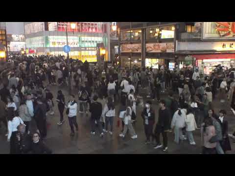 2024/11/16 大阪道頓堀ライブカメラ