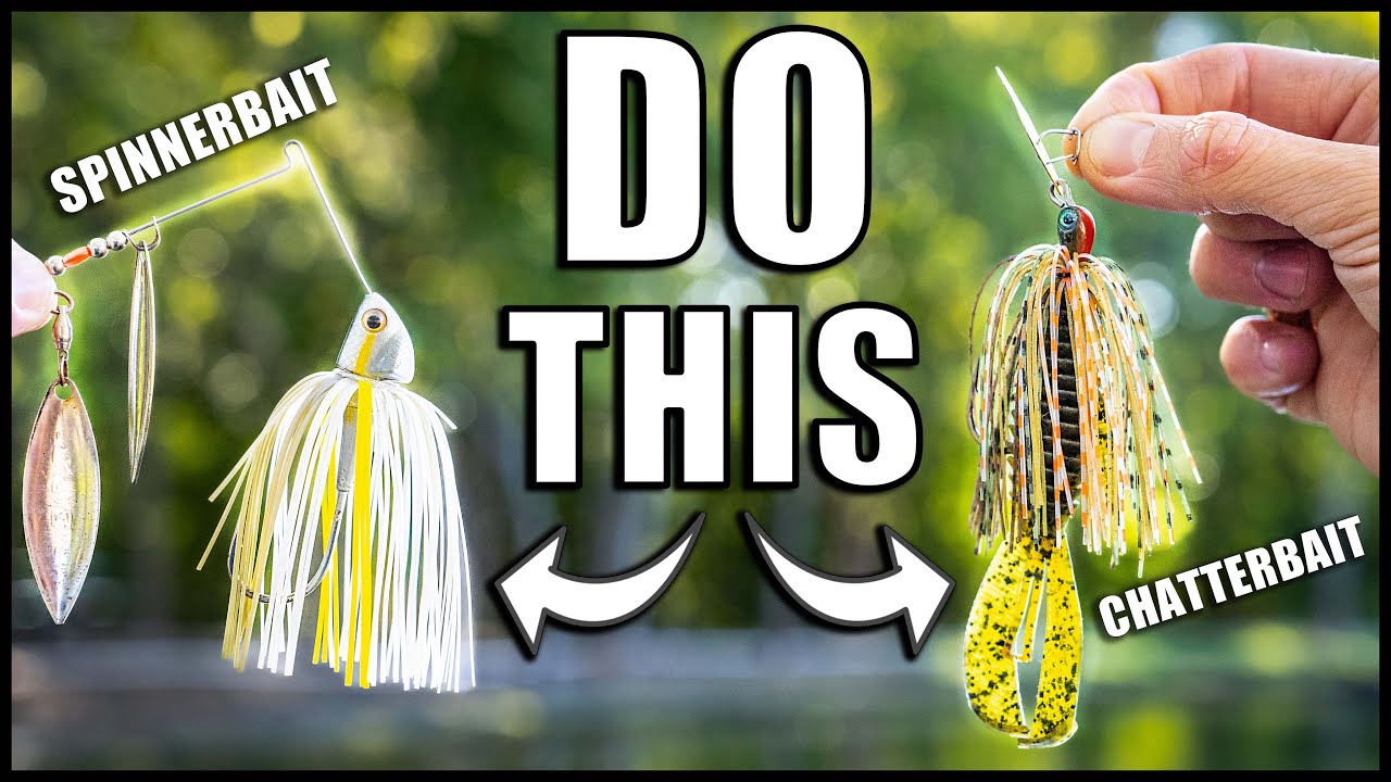 A Spinnerbait & Chatterbait SECRET You SHOULD KNOW! YouTube A Spinnerbait & Chatterbait SECRET You SHOULD KNOW! YouTube