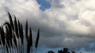 Florida Cloud Timelapse