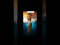 praise the lord #** Christian song #** whatsapp status #**