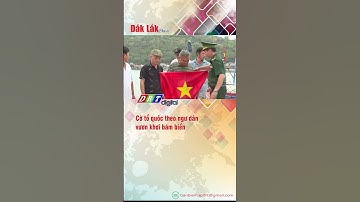 Cờ tổ quốc theo ngư dân vươn khơi bám biển - DRT | Truyền hình Đắk Lắk |