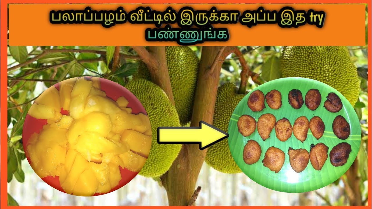 Jackfruit sweet recipes in tamil | HOW TO MAKE JACKFRUIT BONDA IN TAMIL | பலாப்பழம் போண்டா - YouTube