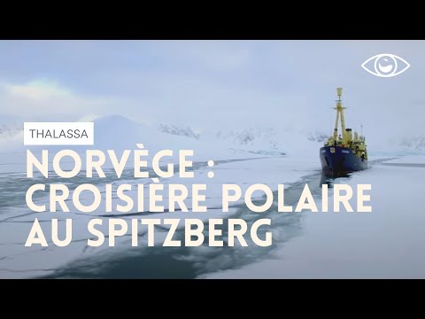Vidéo: Hurtigruten annonce trois nouvelles croisières pôle à pôle en 2023