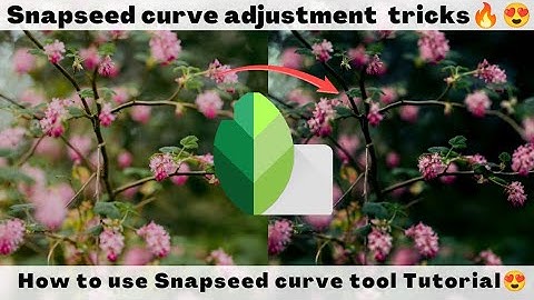 How to use snapseed curve tool Tutorial | Snapseed tutorial 🔥| Curves | Photovibes 🤘