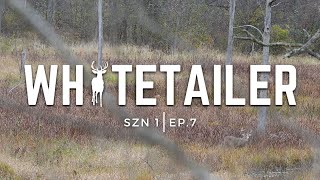 Whitetailer Szn 1 | Ep 7 We watch a mature buck tend a doe for over 3 hours! by Buckeye Bowhunter 468 views 6 months ago 14 minutes, 17 seconds