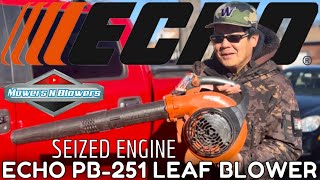 FREE JUNK ECHO PB-251 GAS HANDHELD LEAF BLOWER SEIZED LOCKED UP ENGINE TROUBLESHOOTING DISASSEMBLE