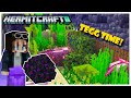 Hermitcraft S8: Mini Maze TEGG Game! We Have the Egg! | Episode 6