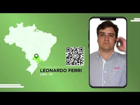 “ESSA É DE QUEBRAR A BALANÇA!” BOIADA NELORE CHEGA A 27@ E NOVILHAS WAGYU A 19@ EM SP!